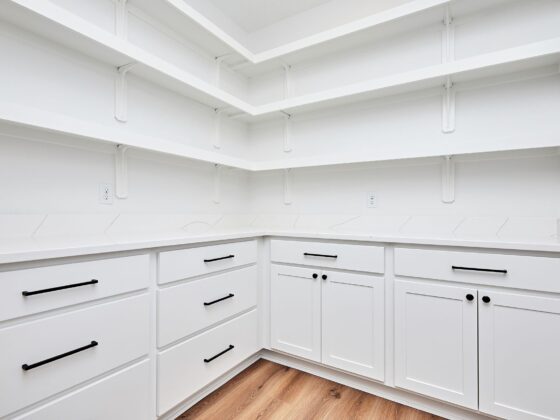 Walk-In Pantry vs. Pantry Cabinet