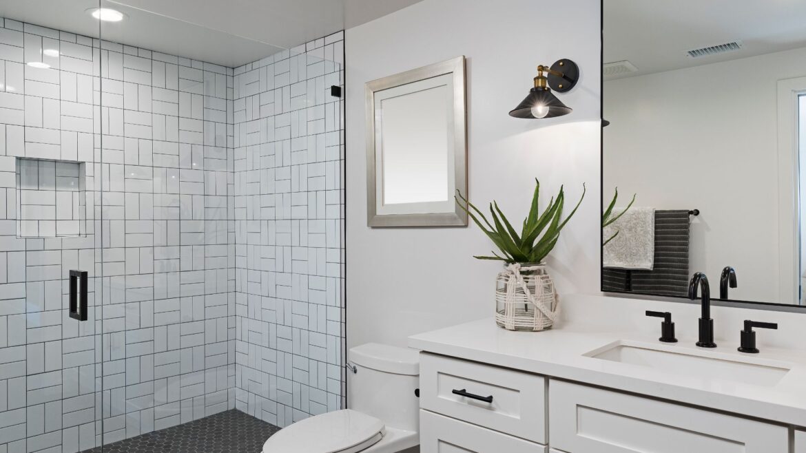 Maximizing your Small Bathroom Optimization